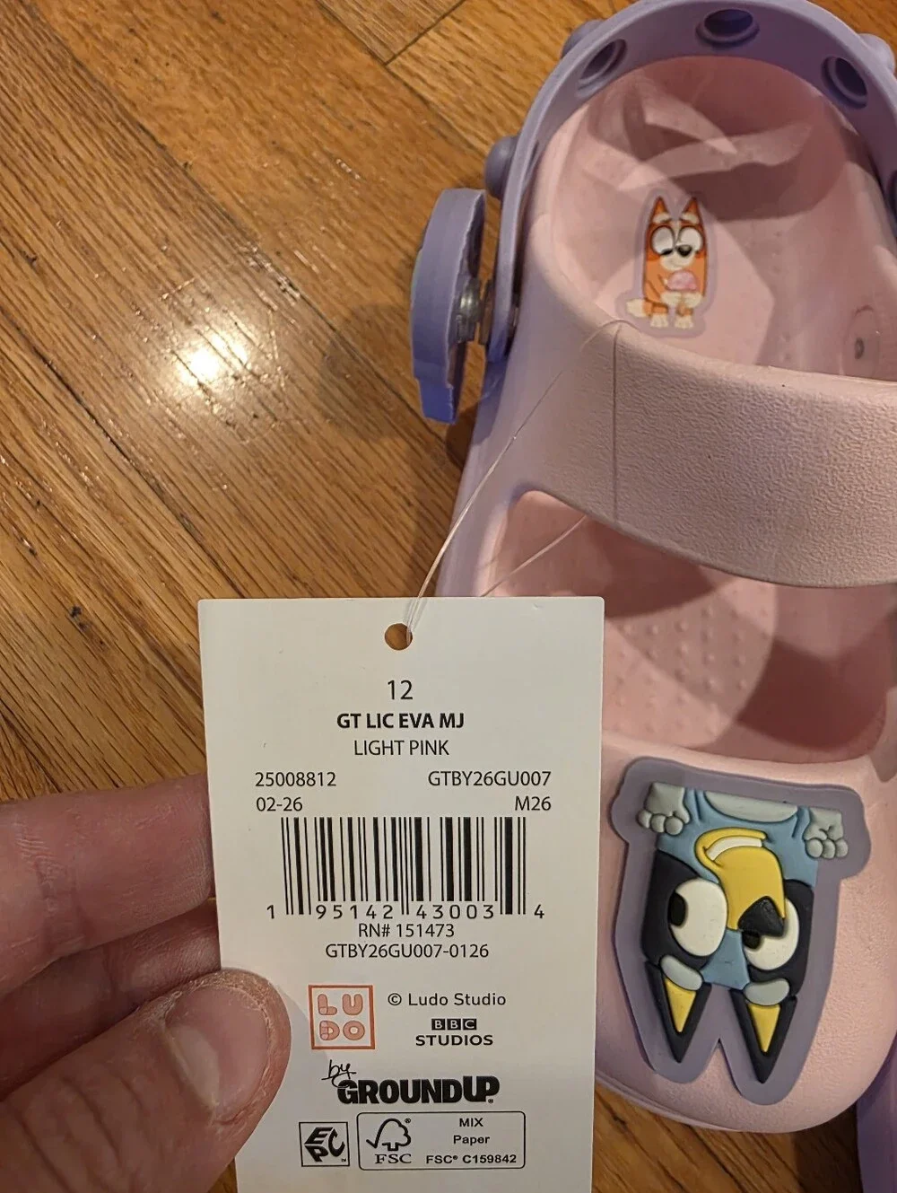 Bluey Girl's Sandals